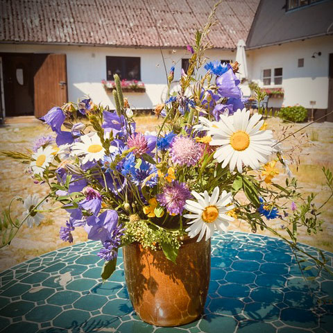 Blombukett med prästkragar, blåklint och andra sommarblommor.