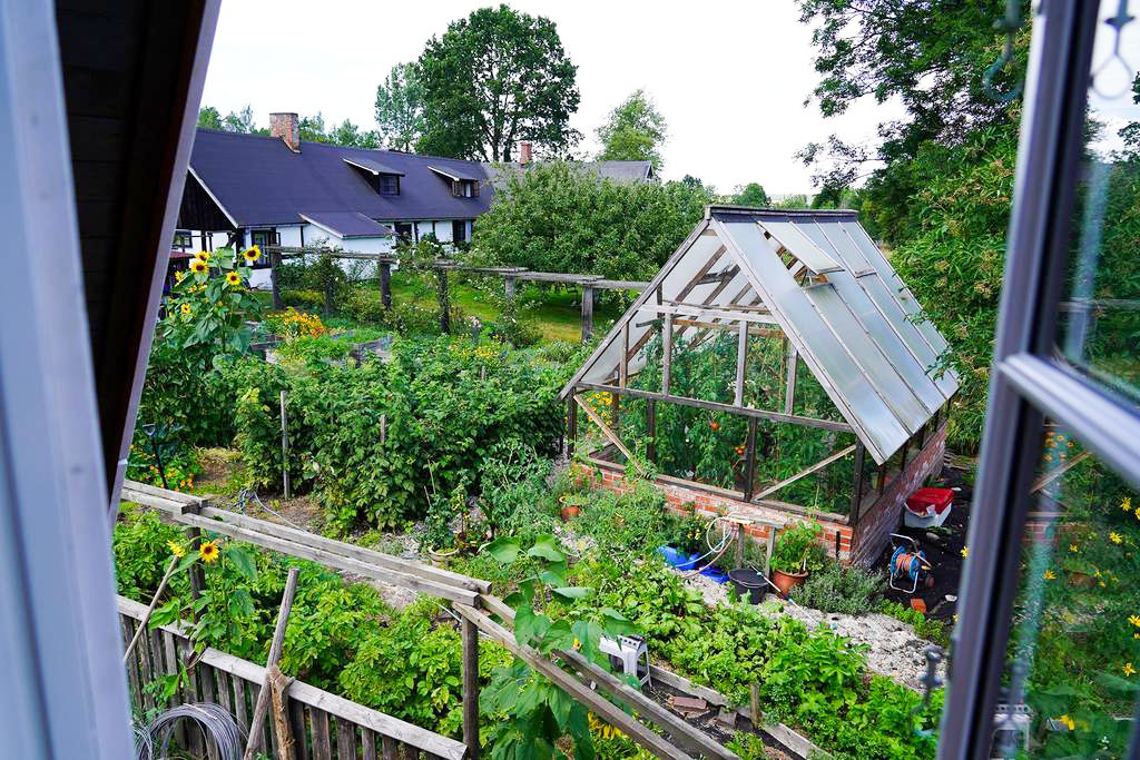 Från norra vindsrummet ser du gårdens prunkande grönsaksland.