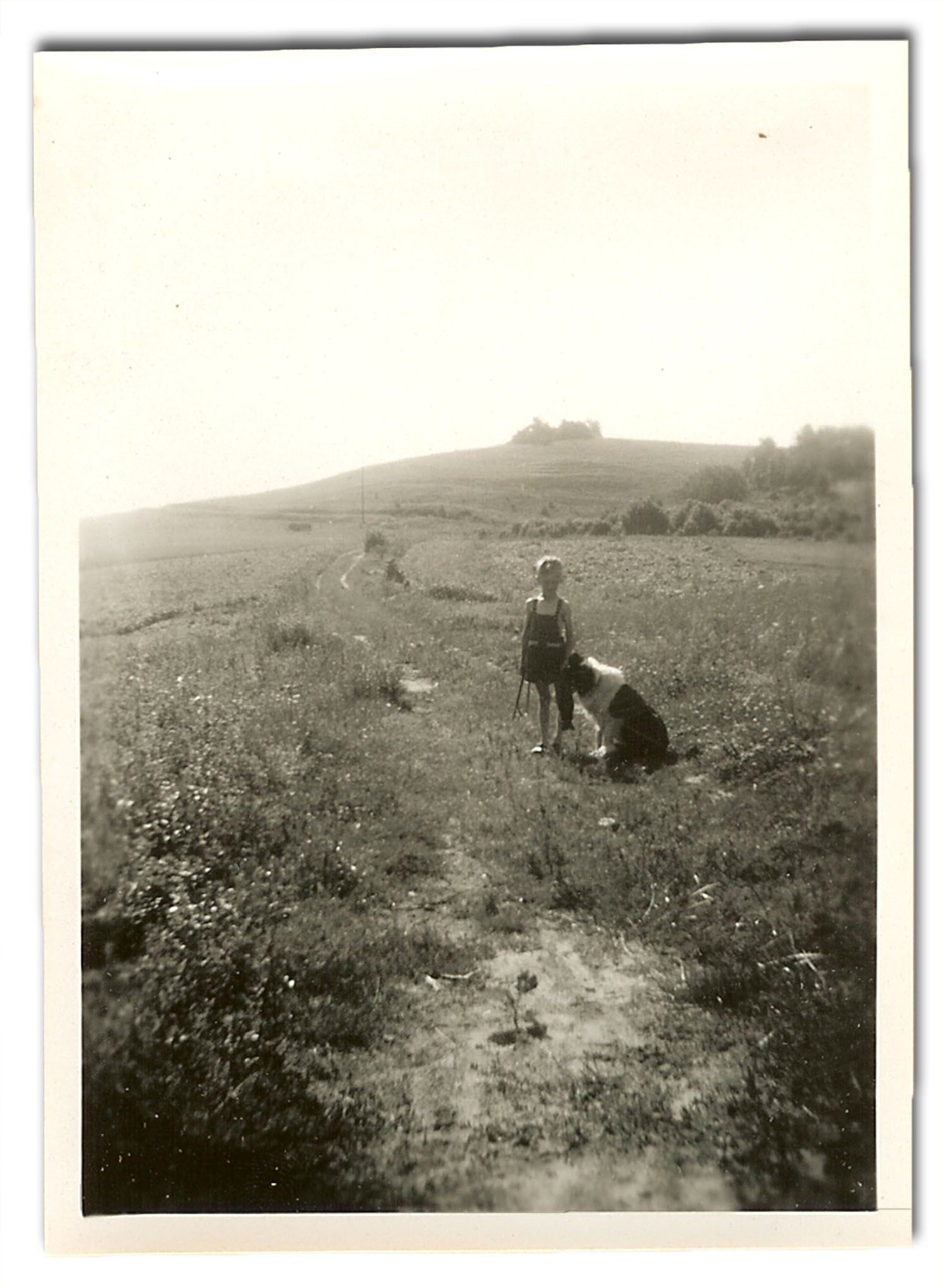 Jörgen together with the dog Lizzi. The bronze age grave Ornahögen is seen in the background.