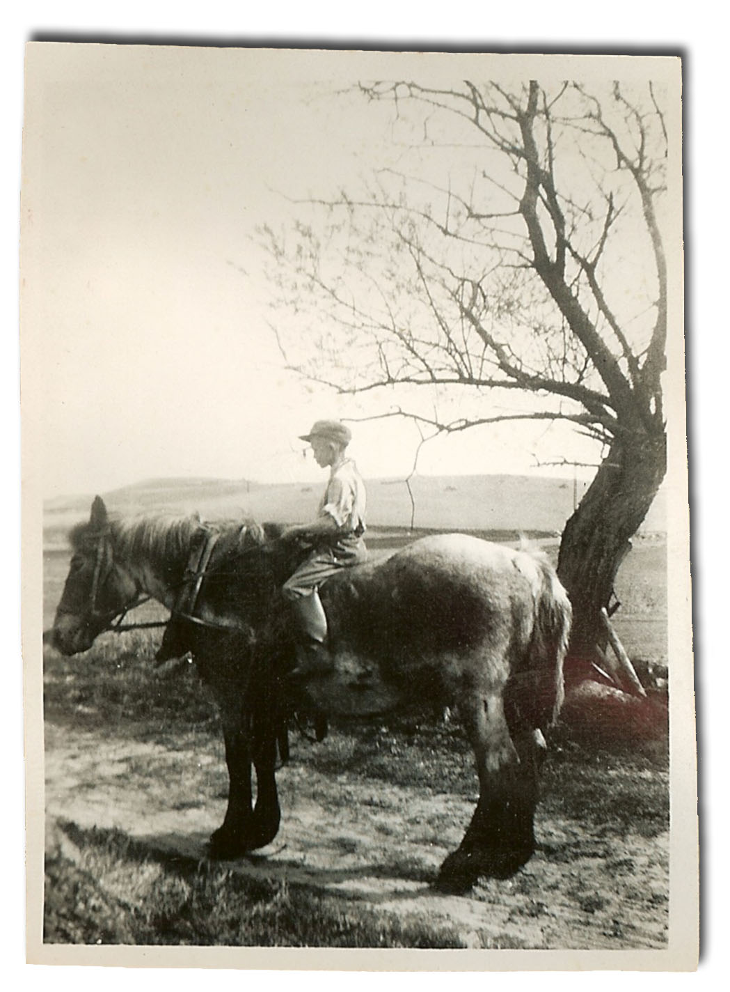 Today's owner of Källagården, Jörgen, on the horse Skimlan.